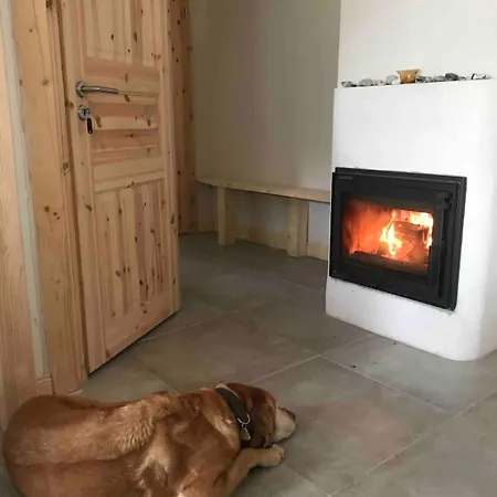 Reethuus With Fireplace And Sauna * Fehmarn