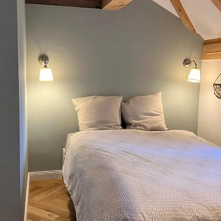 Reethuus With Fireplace And Sauna Tatil Evi